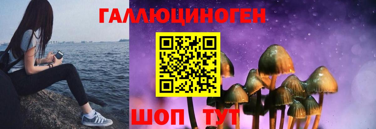как найти   Галлюциногенные грибы MAGIC MUSHROOMS  Вход с VPN  Галлюциногенные грибы Psilocybe  Прохладный 