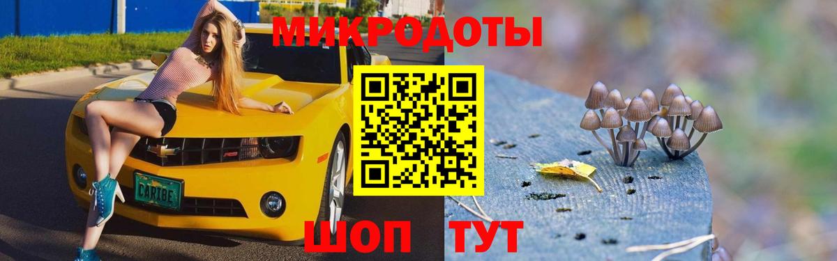 Псилоцибиновые грибы Cubensis Прохладный